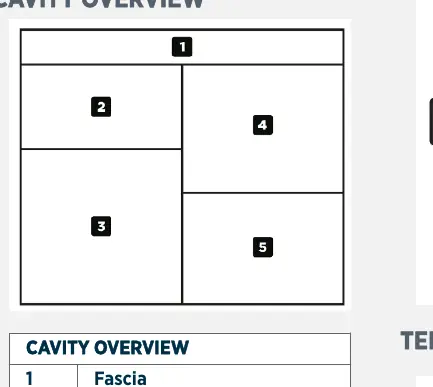 Cavity overview