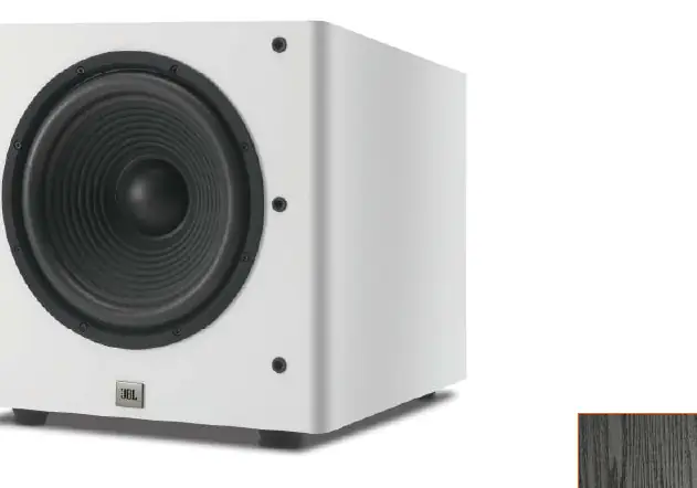 JBL Arena SUB 100P active subwoofer