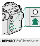 Location of the DISP/BACK button on the camera body.