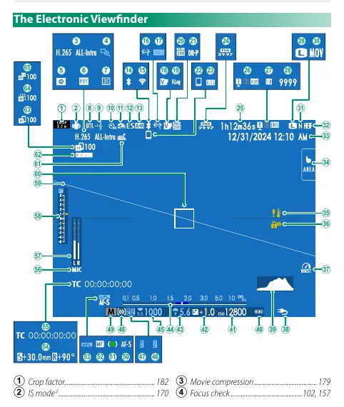 Electronic viewfinder display indicators