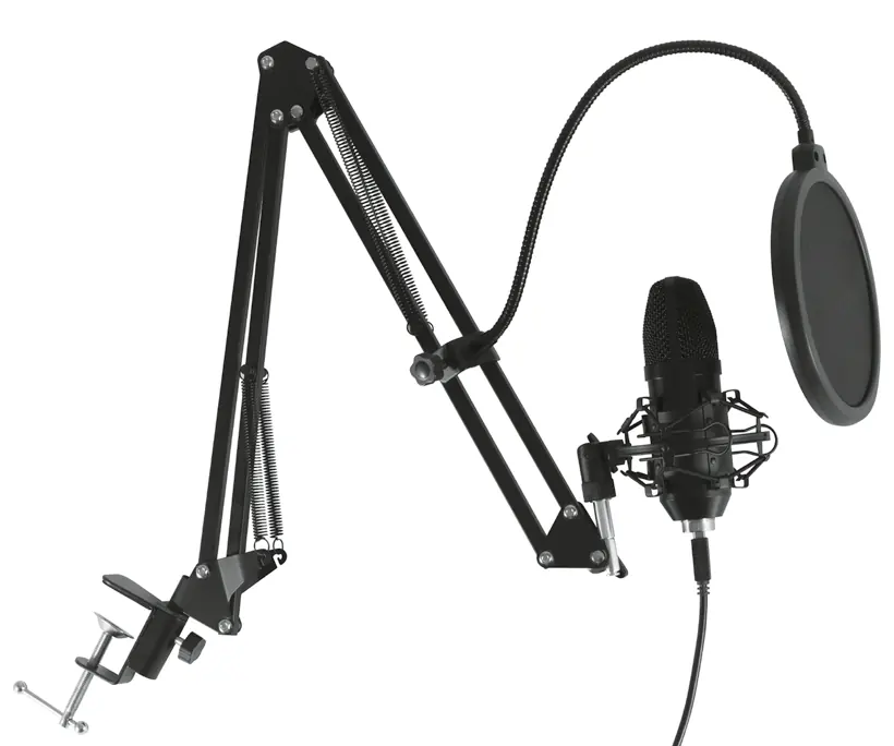 SAL M 100USB Microphone Set