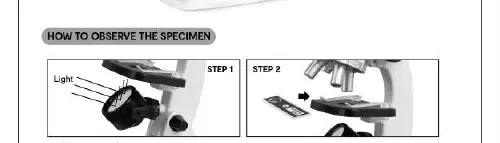 Observation steps