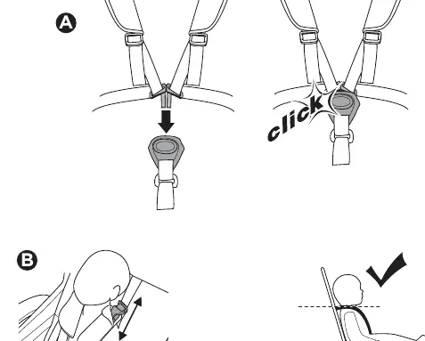 Securing the child harness