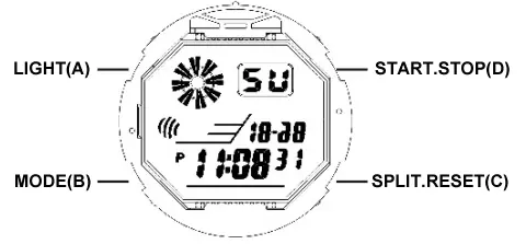 Watch button layout and display indicators