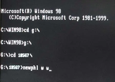 Execute the service program via the command line.