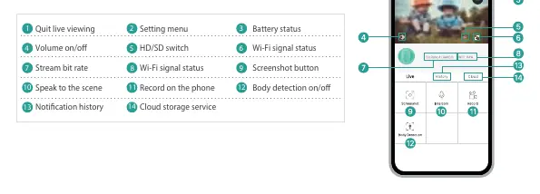 Live view interface controls