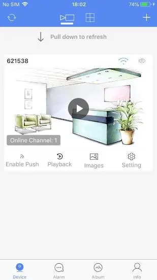 Live video view in the app