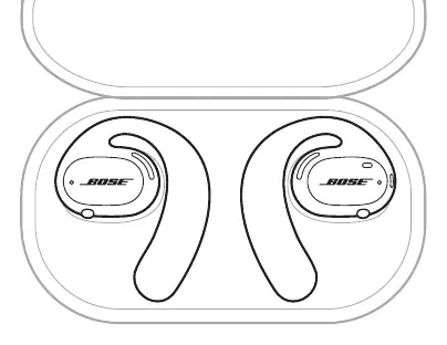 Correct storage in the carry case
