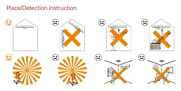 Place/Detection instruction