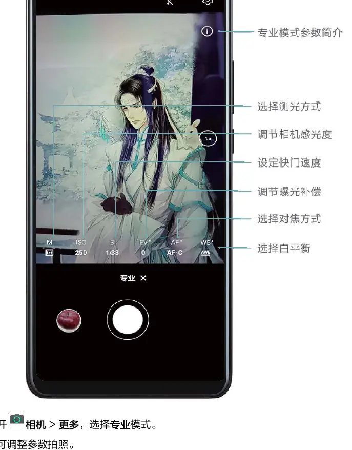 Professional camera mode interface