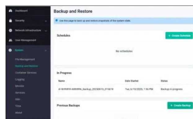 Backup and Restore interface in VST-APL