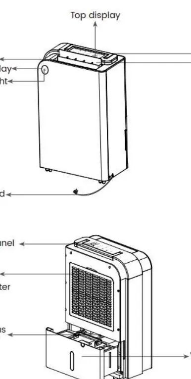 Dehumidifier components and layout