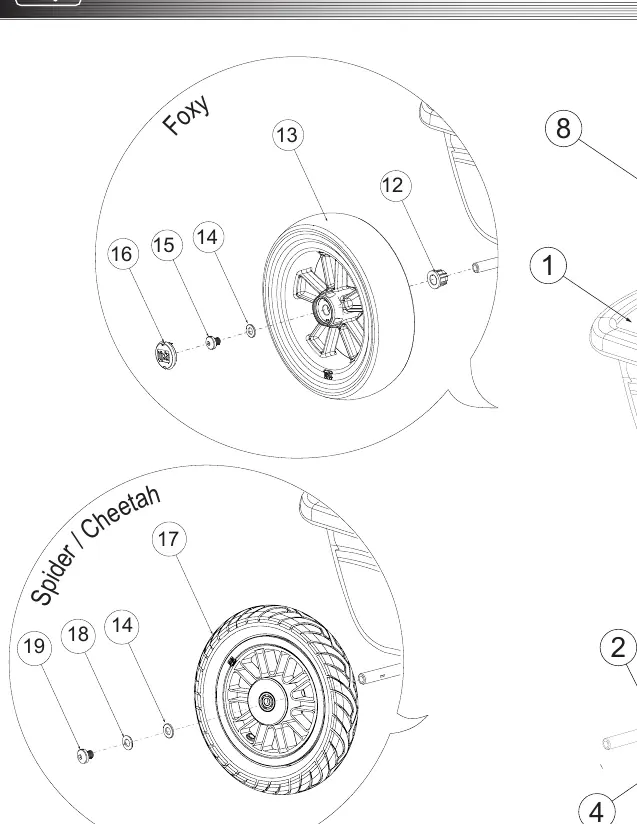 Assembly diagram for Foxy and Spider/Cheetah models