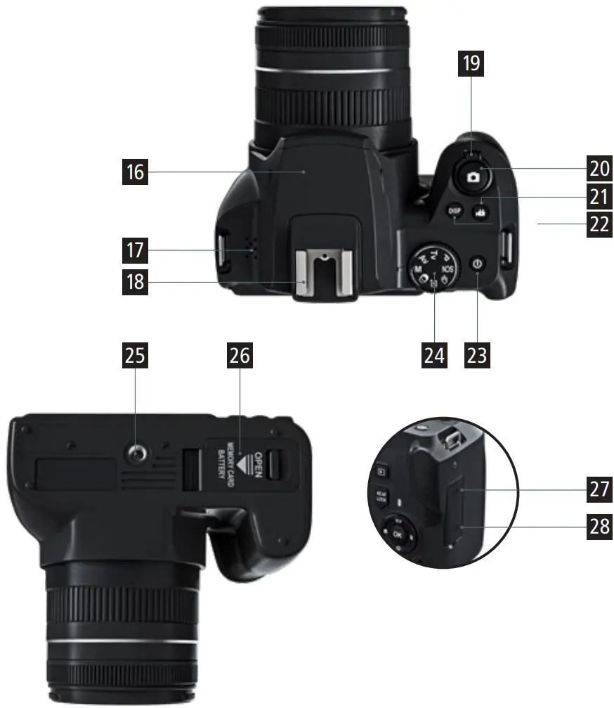 Top and bottom view