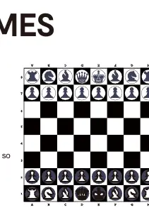 Chess board setup