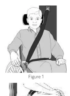 Correct positioning of belt restraints.