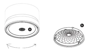 Step 8: Lens removal.