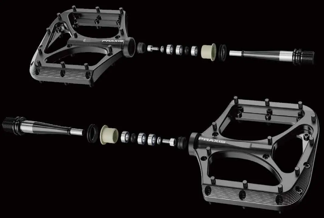 Exploded view of pedal components