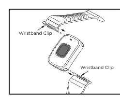 Wristband mounting