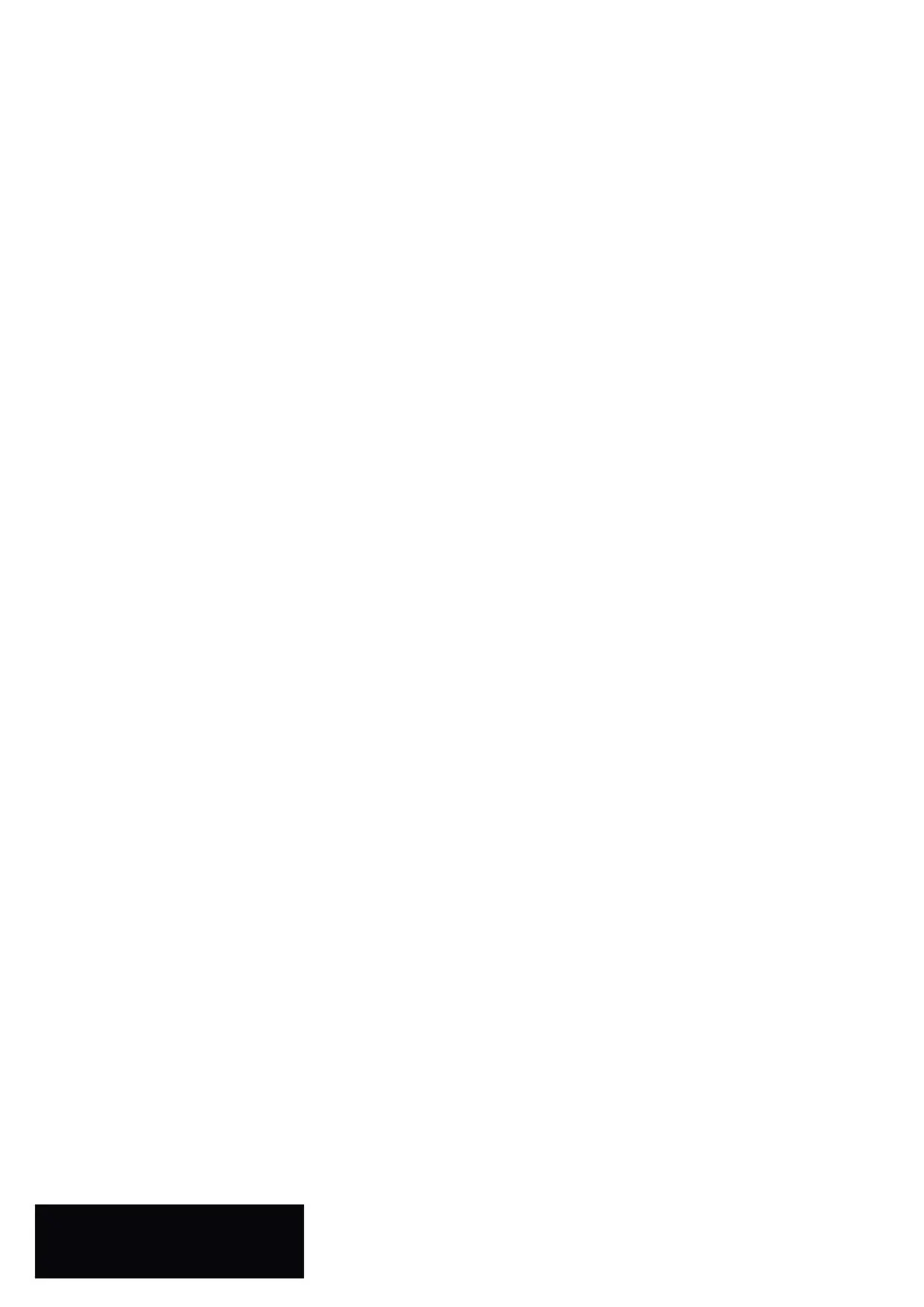Document footer information