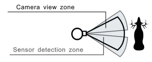 Sensor detection zone