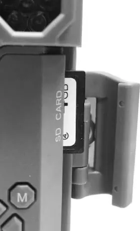 Insert the SD card into the side slot until it clicks into place.