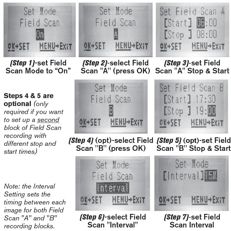 Field Scan setup steps