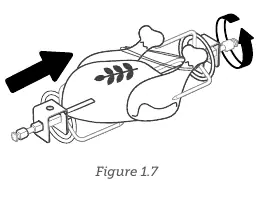 Rotisserie fork set assembly