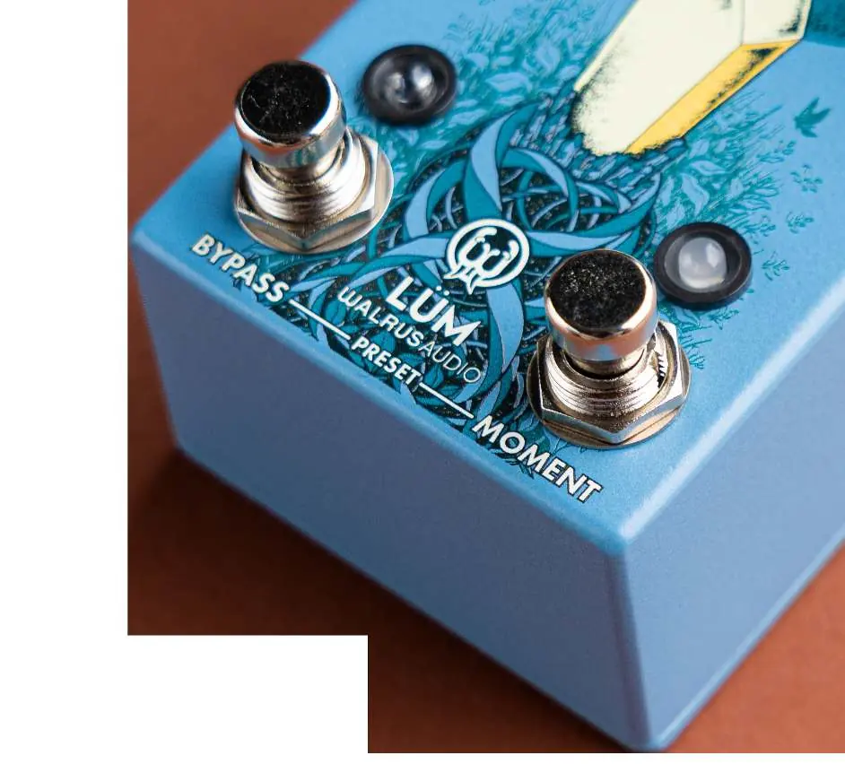 Bypass and Moment stomp switches
