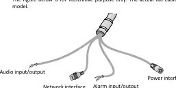 Identification of tail cables