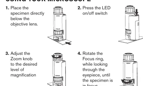 Microscope usage steps