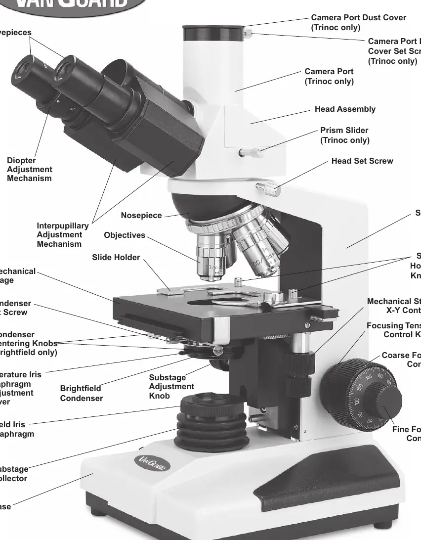 Microscope parts diagram