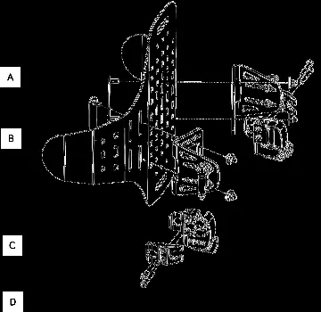 Back Support components