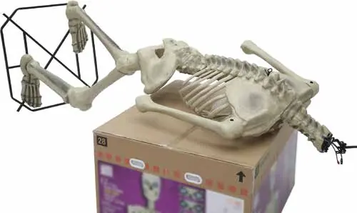 Connecting the spine to the pelvis