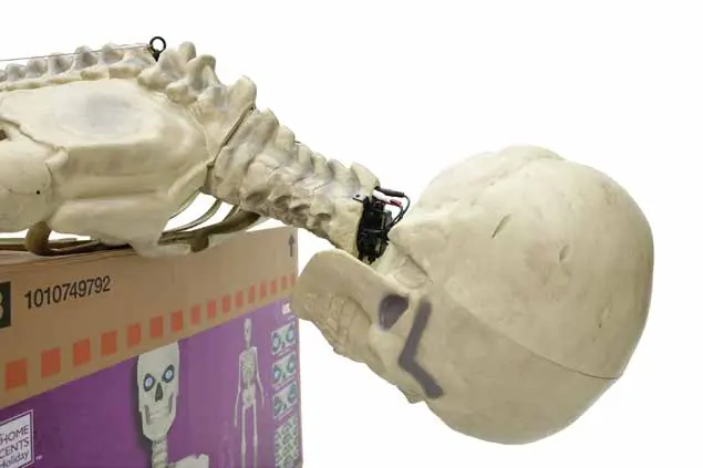 Head and neck connection