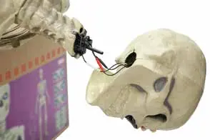 Securing the spine loop