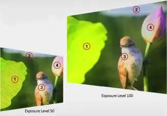 Exposure levels