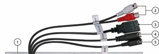 Rear panel connections