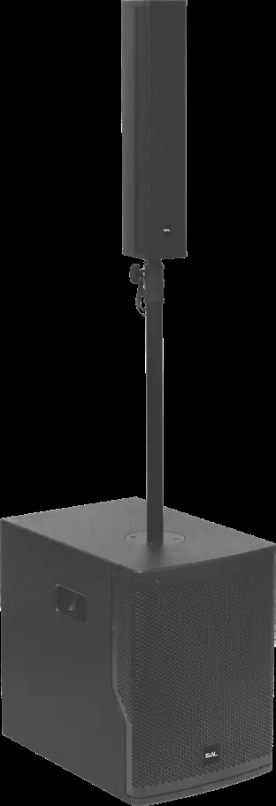 SAL PAS 12W243S Professional Stereo Speaker System