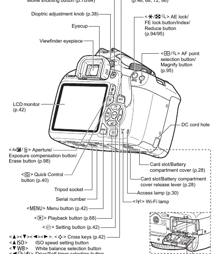 Camera nomenclature (back view)
