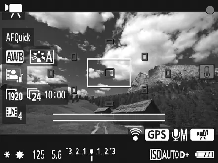 Live View information display