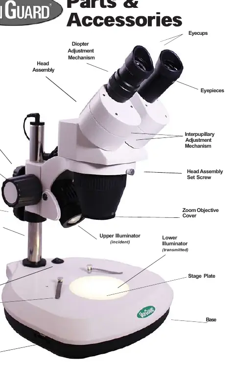 Microscope parts diagram