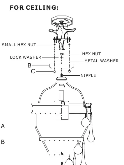 Exploded view for ceiling mount installation