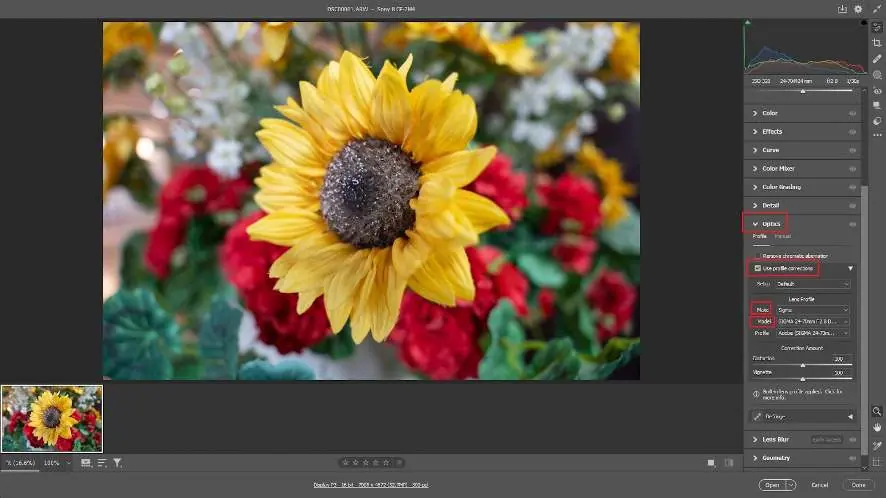Applying the lens correction profile in Adobe software.