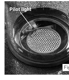 Pilot light location