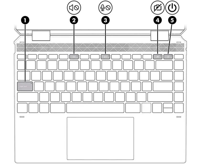 Keyboard lights