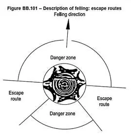 Felling escape routes