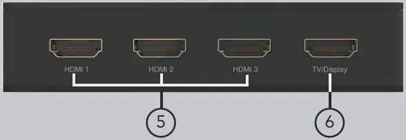Rear Panel Ports