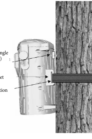 Mounting the camera to a tree.