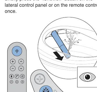 Using the anal shower